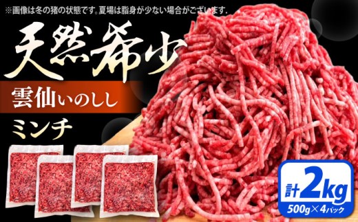 ジビエ 猪肉 ミンチ 2kg 雲仙いのしし / ひき肉 肉 イノシシ ジビエ いのしし ハンバーグ ひき肉 肉 イノシシ ジビエ いのしし ハンバーグ 低カロリー 冷凍 じびえ ジビエ ミンチ / 南島原市 / もりのめぐみ [SDB013]