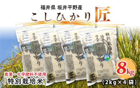 【令和7年産】特別栽培米 コシヒカリ匠 8kg (2kg × 4袋)（玄米） 栽培期間中農薬不使用 / コシヒカリ こしひかり 白米 お米 [D-2938_02]