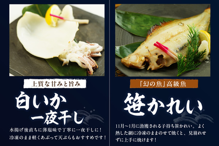 山陰浜田港あけぼの丸ののどぐろ・笹かれい・白いか高級3種セット 魚介類 魚貝類 干物 干もの 一夜干し 干物セット 御中元 御歳暮 ギフト 海鮮 厳選 個包装【146_1490】