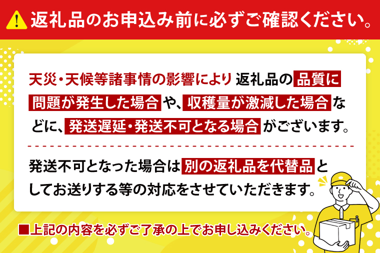 【2027年6月下旬より順次発送】マンゴーの里！豊見城市産♪あま～い♪アップルマンゴー 約1kg(2～3玉)(家庭用)｜マンゴー アップルマンゴー フルーツ 果物 くだもの 沖縄 おきなわ 沖縄県 豊