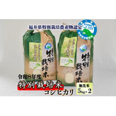 ふるさと納税 勝山市 先行予約【令和8年産】 特別栽培米 コシヒカリ 5kg×2 (無洗米)