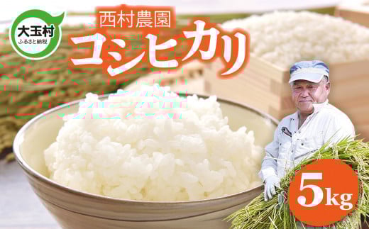 令和6年産 新米 コシヒカリ 15kg 白い 玄米 福島県産 精米無料