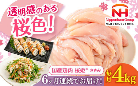 【全6回定期便】桜姫 ささみ 計4kg（2kg×2パック）【東日本フード株式会社】 国産 鶏 とり肉 ささみ ササミ 冷凍 北海道 [AXBM074]