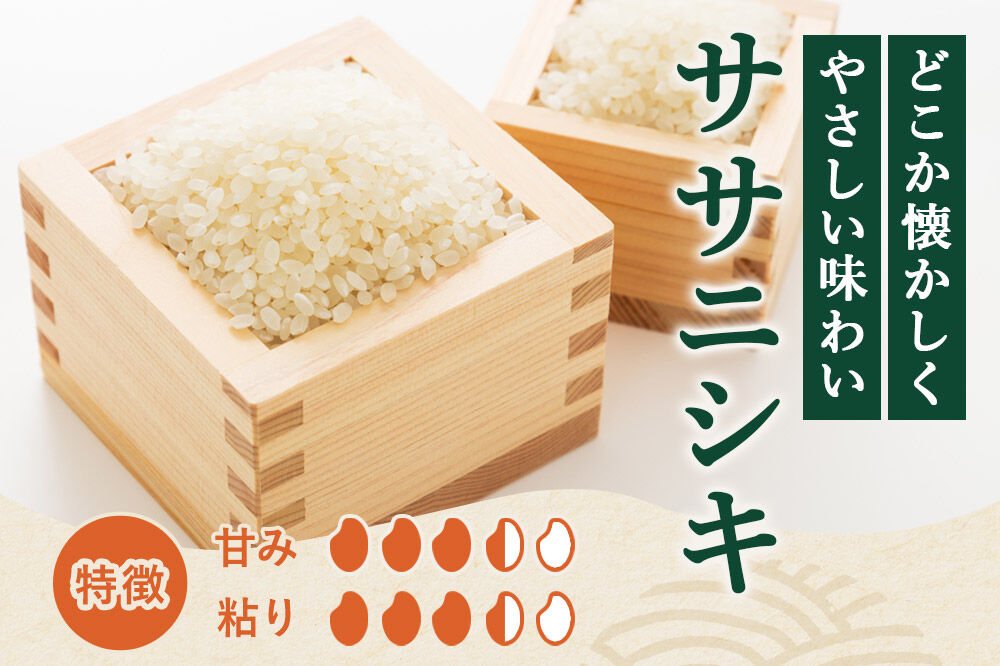 【白米】特別栽培米 ササニシキ 5kg（5kg×1袋）令和7年産 [ササニシキ 米 お米 白米 精米 特別栽培米 ブランド米 食卓 秋田県産 秋田県 由利本荘市]