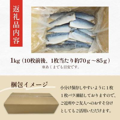 ふるさと納税 石巻市 訳あり 塩サバフィーレ 1kg (10枚前後) 鯖 冷凍 不揃い 魚 お魚  おかず お弁当 |  | 03