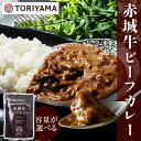 【ふるさと納税】赤城牛ビーフカレー 200g 中辛 容量が選べる レトルト食品 常温保存 詰め合わせ 一人暮らし F4H-0059var