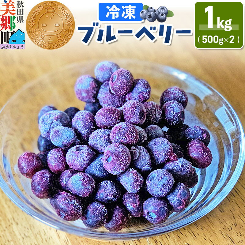 【ふるさと納税】くろかわ農園 冷凍ブルーベリー 1kg（500g×2パック） 秋田県美郷町