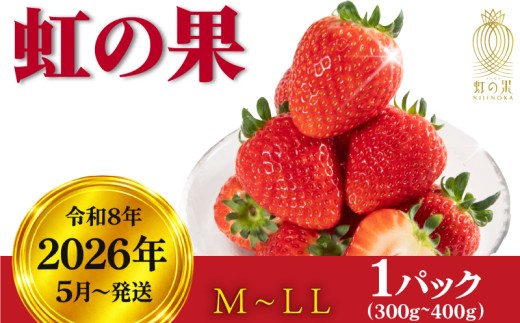 【先行予約】 虹の果 夏 いちご 1箱 400g ~ 300g (M~LLサイズ) 冷蔵 贈答用 イチゴ 苺 デザート フルーツ 夏イチゴ にじのか いちご大福 果物 期間限定 数量限定 特別栽培 特産品 ブランド 大きい 贅沢 贈り物 ブランドいちご 甘い おすすめ プレゼント ギフト ジューシー 高級 フルーツパーラー 夏いちご 甘い 酸味 絶妙 バランス 香り 滋賀県 日野町 ふるさと納税
