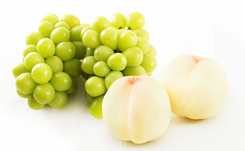 桃 ぶどう 2025年 先行予約 果物 詰合せ 白桃 2玉（1玉220g以上）シャインマスカット 晴王 2房（1房480g以上）化粧箱入り 岡山県産 国産 フルーツ ギフト フルーツ詰め合わせ 贈答品