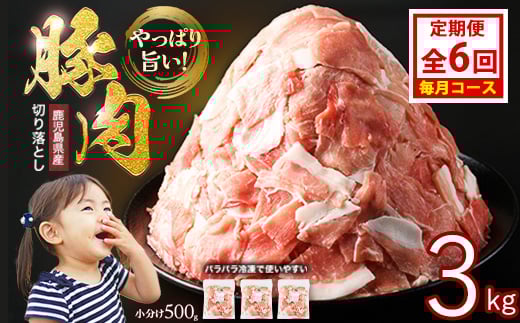 
            ＜定期便 毎月発送 全6回＞鹿児島県産 豚肉切落し (500g×6P) 3.0kg 【スターゼン】 starzen-1418
          