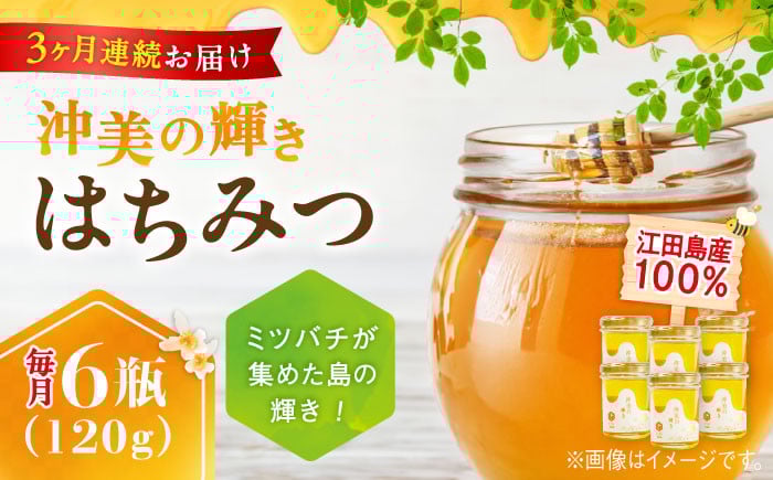 
            【全3回定期便】江田島産100％ はちみつ 『沖美の輝き』120g×6本セット ハチミツ 蜂蜜 国産 広島 江田島市/はつはな果蜂園 [XCD021] ハチミツ 国産蜂蜜 国産はちみつ 国産純粋はちみつ 蜜 蜂蜜 はちみつ ハニー honey 人気ハチミツ 日本蜜蜂 純粋はちみつ 常温 保存 備蓄 防災食 非常食 保存食 産地直送 国産 定期便
          