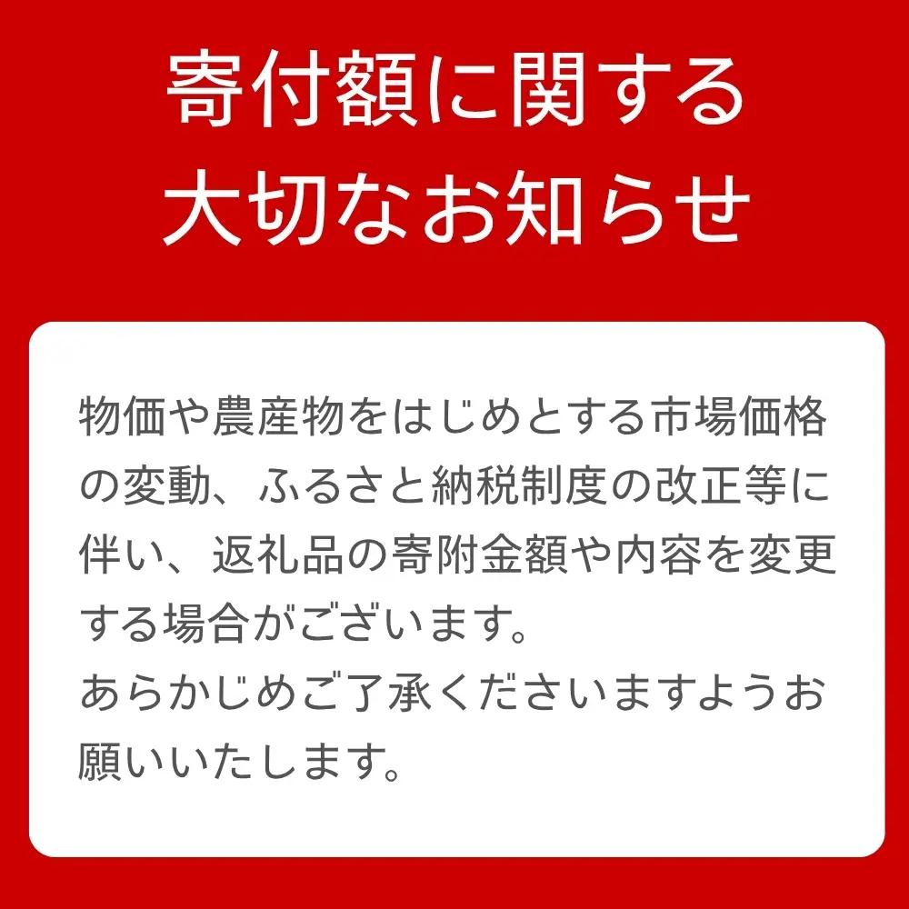 りんご 【 ご家庭用 訳あり 】 ふじりんご 10kg 【11月中旬～12月中旬発送】サンふじ ふじ リンゴ 林檎 山形県  朝日町産 山形県産 特産 果物 フルーツ リンゴ 林檎 秋 冬 送料無料 