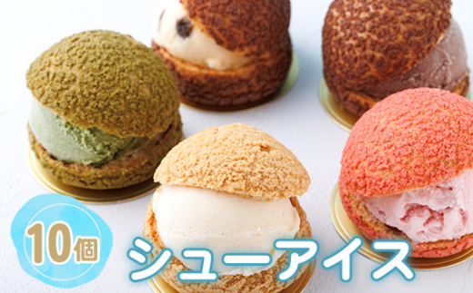 
No.244 シューアイス　10個セット ／ スイーツ デザート 冷菓 バニラ チョコレート ストロベリー 抹茶 ラムレーズン 大阪府
