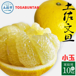 ＜2026年1月下旬より順次発送＞土佐文旦 小玉 家庭用 10kg 23～29玉入り M～Lサイズ 先行予約 文旦 ぶんたん ブンタン 柑橘 フルーツ デザート 果物 ご当地 人気 名産 お取り寄せ 土佐 高知 土佐市