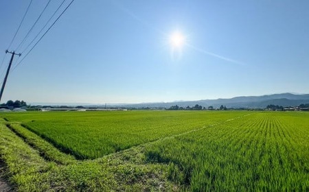 【令和6年産 先行予約】 ミルキークイーン＆コシヒカリ＆はえぬき 三種食べ比べセット 各3kg　伊藤農園