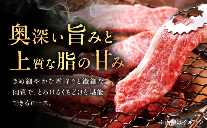 佐賀牛 ロース 焼肉用 500g /MKミート武雄 [UEM054]