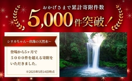 【数量限定】【6ヶ月定期便】天然 水 シリカ 525ml × 40本 ＜シリカちゃん〜玖珠の天然水〜＞ ラベルレス 天然シリカ 水 シリカ水 ミネラルウォーター 国産 保存可能 水 防災 備蓄