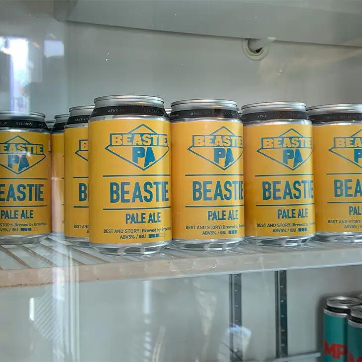 花巻産クラフトビールおまかせ6本セット（350ml×6本） 【1817】