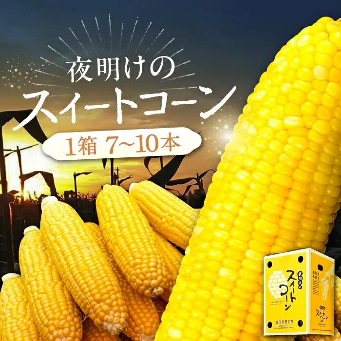 【先行予約】とうもろこし 4kg×1箱 VCO001 とうもろこし