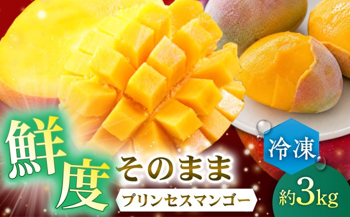 
                  【冷凍】プリンセスマンゴー 約3kg [QAT014] 冷凍マンゴー ぷりんせすまんごー 完熟 マンゴー 高品質マンゴー まんごー 果物 フルーツ 冷凍 マンゴー フルーツ 冷凍マンゴー / 長崎県 佐々町
                