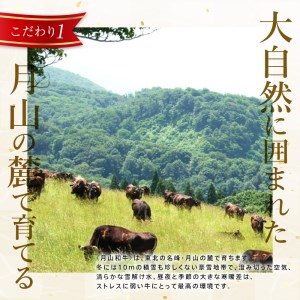 FYN9-860 山形県産黒毛和牛《月山和牛》福寿館 肩ロースしゃぶしゃぶ 500g 牛肉 山形県 西川町