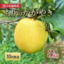 【ふるさと納税】先行予約【10月発送】盛岡　北田りんご園　もりのかがやき　3kg　(8～12個)　お届け：2024年10月中旬頃からの発送