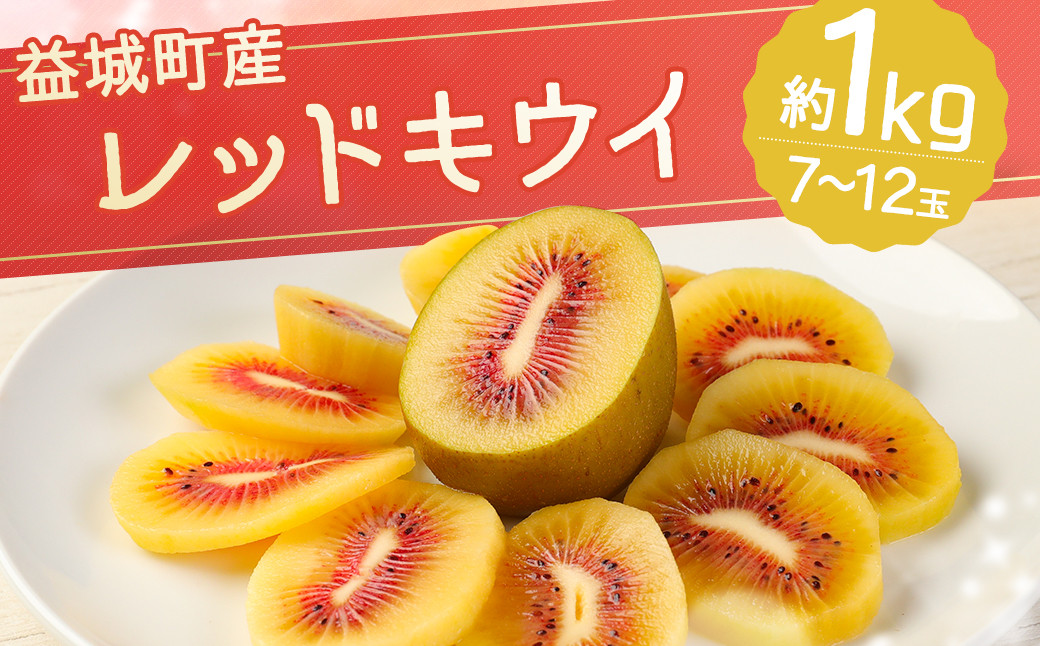 
            益城町産 レッドキウイ 約1kg（7～12玉）【2025年10月下旬～2026年2月上旬順次発送予定】
          