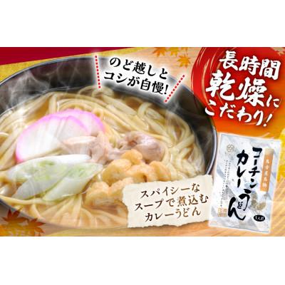 ふるさと納税 江南市 コーチン手折りカレーうどん(10食) |  | 01