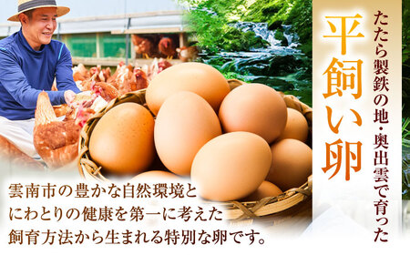 《月2回 × 20個 6ヶ月コース》 たたらの里平飼い 彩り天佑卵 全12回定期便 島根県雲南市/株式会社たなべたたらの里（たなべ森の鶏舎）｜たまご 卵 放牧卵 平飼い卵 新鮮 国産 定期便[AIDL