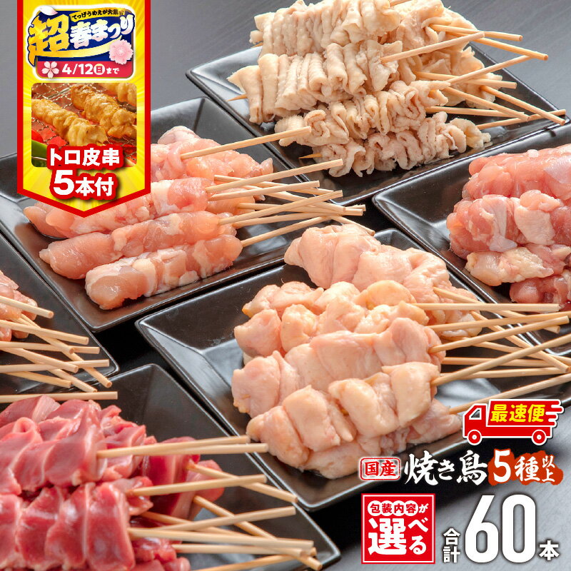 【ふるさと納税】【超！春まつり 生活応援・大感謝規格】【包装内容・発送時期が選べる】若鶏の焼き鳥セット(60本)盛り合わせ・トロ皮串5本付き 国産 もも せせり 皮 ぼんじり 砂肝 カタ 鶏肉 肉 お肉 鶏 若鶏 焼き鳥 セット 小分け パック 焼き鳥セット 贈り物 ふるさと