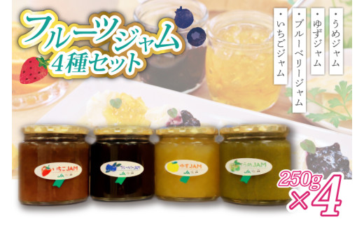 いちご・ゆず・梅・ブルーベリージャム(250g)×各1個 (AF004)