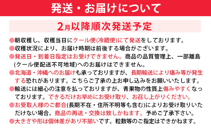 【先行予約】大木町産 あまおう いちご 約270g×4パック《2027年2月以降順次発送》イチゴ 苺 果物 おすすめ 福岡県 大木町 CL001
