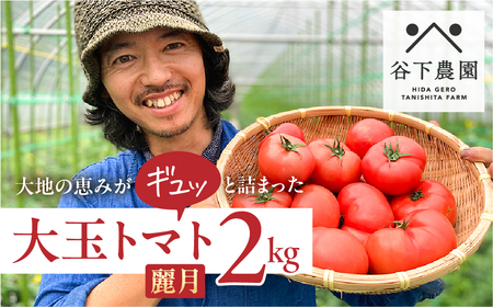 大玉トマト 約 2kg（サイズ混合）【61-6】≪谷下農園 有機JAS認証農園の完熟トマト≫