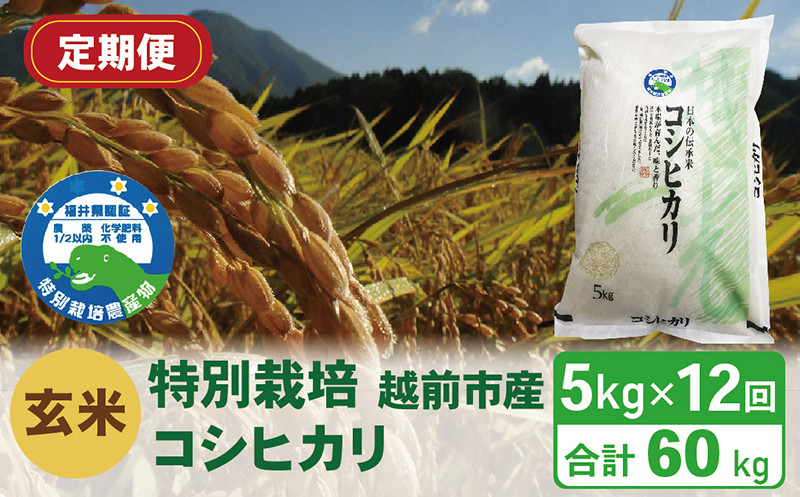 
【定期便12回】（令和6年度新米 玄米）特別栽培 越前市産コシヒカリ 5kg×12回
