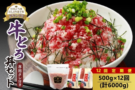 【12回定期便】人気の牛とろ丼セット 500g 専用タレ付き【定期便 牛とろ丼 セット 牛とろフレーク 25人前 500g 専用タレ付き ぎゅうとろ 牛肉 牛トロ フレーク 25食分 ご飯にかけるだけ】_S006-0071