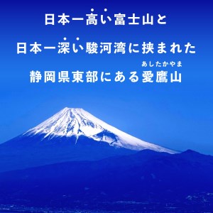 【沼津産】粉末・パウダー茶お楽しみセット バラエティ お手軽  煎茶 ほうじ茶 玄米茶 茶飴 コラーゲン入り 低カフェイン  愛鷹