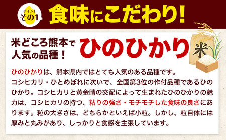 令和5年産 ひのひかり 【3ヶ月定期便】 白米 《お申込み月の翌月から出荷開始》 10kg (5kg×2袋) 計3回お届け 熊本県産 単一原料米 ひの 熊本県 南阿蘇村