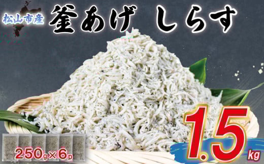 家庭用 釜揚げ しらす 約1.5kg | 家庭用 冷凍 しらす しらす干し ごはんのお供 おつまみ 酒の肴 小分け 便利 簡単調理 おかず 惣菜 しらす丼 グルメ 食品 魚 魚介 海鮮 シラス  愛媛県 松山市