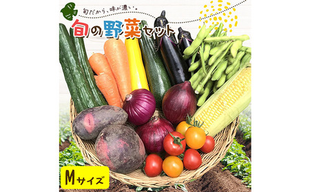 野菜 旬の野菜セット Mサイズ 約8～9種 《30日以内に出荷予定(土日祝除く)》 ベジLIFE!! 【配送不可地域あり】（沖縄・離島） 季節の野菜  料理 甘い 採れたて トマト 新玉ねぎ じゃがいも キャベツ 白菜 ベジライフ 千葉県 我孫子市