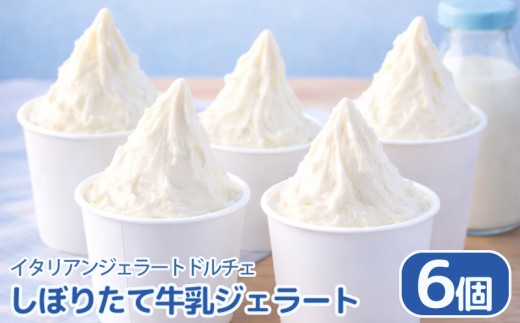 ジェラート イタリアンジェラート しぼりたて牛乳 6個 × 120ml アイスクリーム アイス シャーベット デザート スイーツ お菓子 洋菓子 おやつ 牛乳 ミルク ギフト プレゼント 贈答 お取り寄せ グルメ 冷凍 徳島県 阿波市 イタリアンジェラートドルチェ