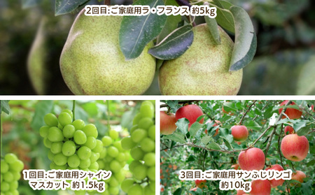 【定期便3回】ご家庭用 やまがた秋のフルーツ定期便 FY25-041