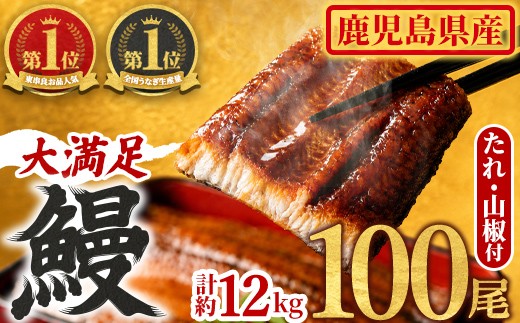 
【4504306a】＜大満足＞東串良町のうなぎ蒲焼(無頭)(120g×100尾・計約12000g・タレ、山椒付)うなぎ 高級 ウナギ 鰻 国産 蒲焼 蒲焼き たれ 鹿児島 ふるさと 人気【アクアおおすみ】
