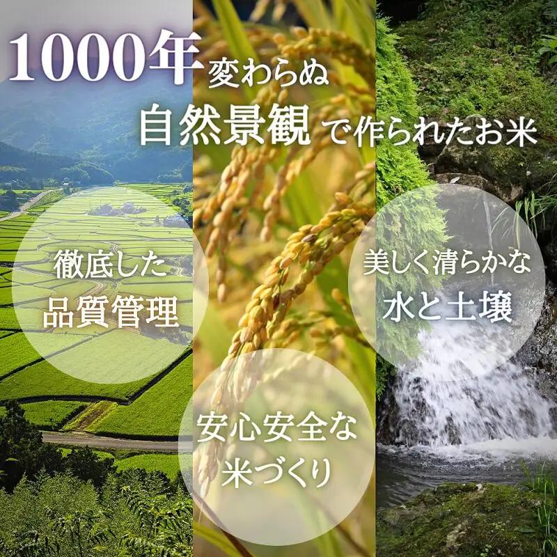 荘園米 玄米 11kg×1袋　ヒノヒカリ（精米後約10kg） | 豊後高田市