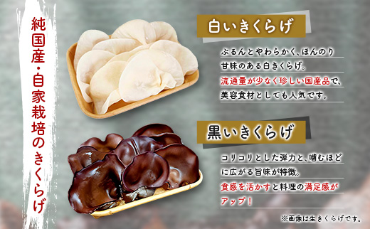 国産 乾燥きくらげ （黒・白）食べ比べセット 各2袋 計48g きのこ 希少 木耳 MONOQLO【C455】