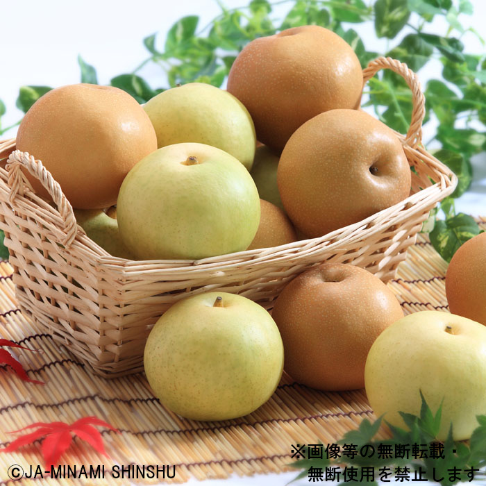 【南信州産】豊水・20世紀 ミックス 約2.5kg 太鼓判 各4玉