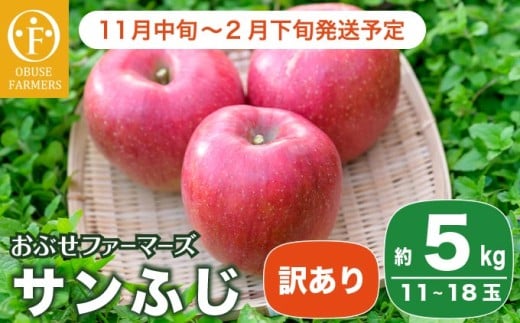 【訳あり】 サンふじ 約5kg 11～18玉［おぶせファーマーズ］  不揃い 規格外 家庭用 りんご 林檎 リンゴ 果物 フルーツ ふじ 長野 信州 数量限定 令和7年産 【2025年11月中旬～2026年2月下旬発送】