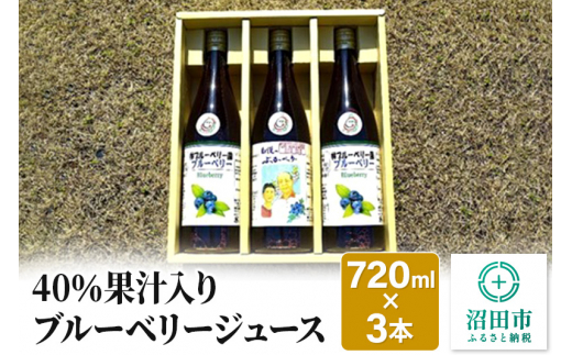 
40％果汁入りブルーベリージュース720ml（3本セット）
