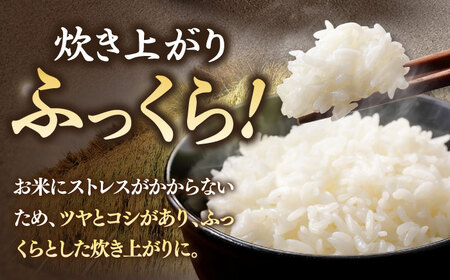 つや姫 5kg 【特別栽培米】[JCZ022] 米 白米