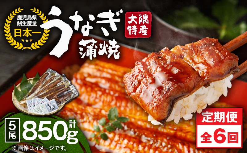 
                  2489 【全6回定期便】大隅特産うなぎ蒲焼5尾（850g）【国産】　KN060-T13
                