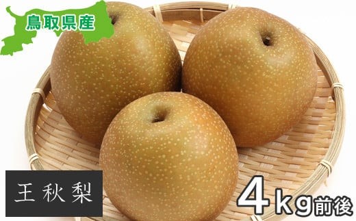 プレミアム王秋梨　4kg